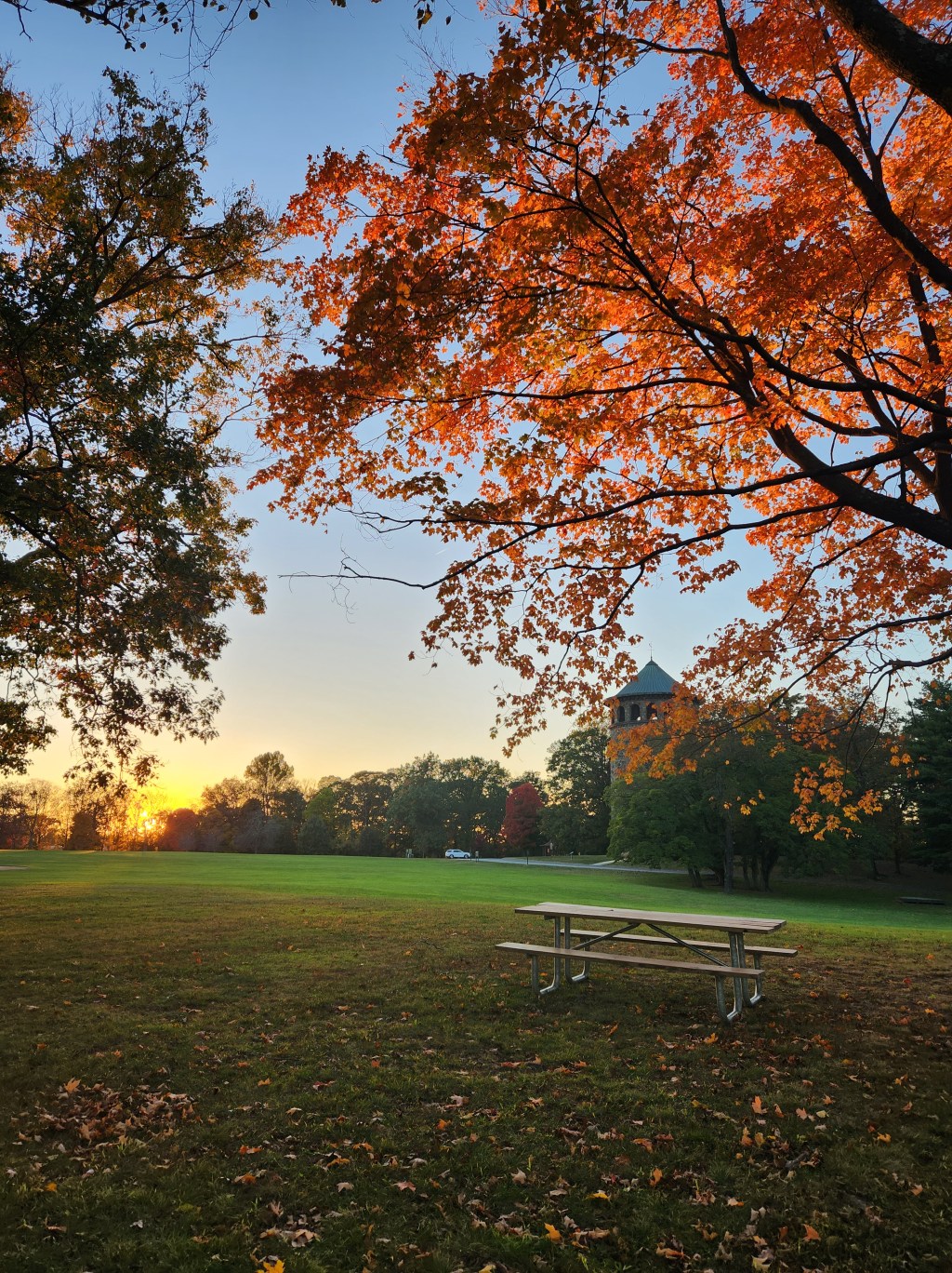 A Season of&nbsp;Loss